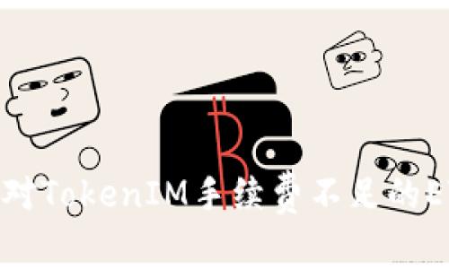 如何应对TokenIM手续费不足的ETH困境