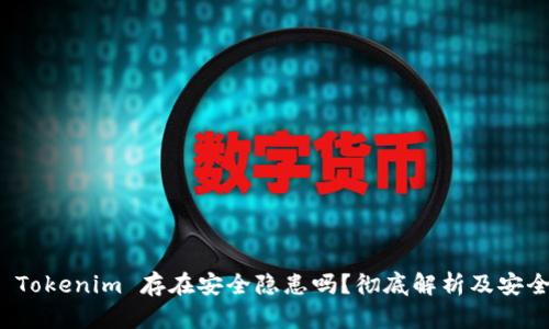 下载 Tokenim 存在安全隐患吗？彻底解析及安全建议
