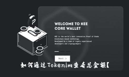 如何通过Tokenim查看总金额？