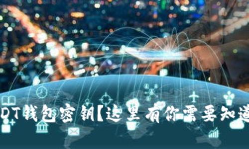 忘记USDT钱包密钥？这里有你需要知道的一切