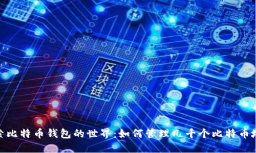 探索比特币钱包的世界：如何管理几千个比特币地址