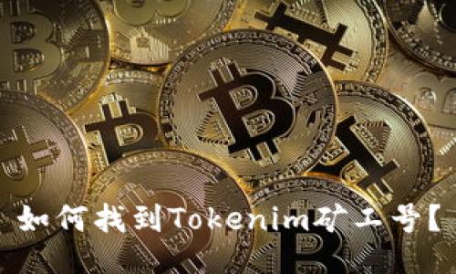如何找到Tokenim矿工号？