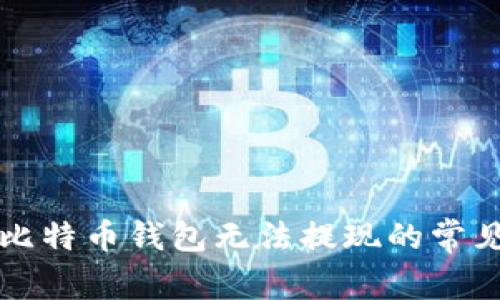 解决比特币钱包无法提现的常见问题