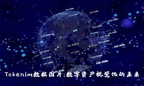 Tokenim数据图片：数字资产视觉化的未来