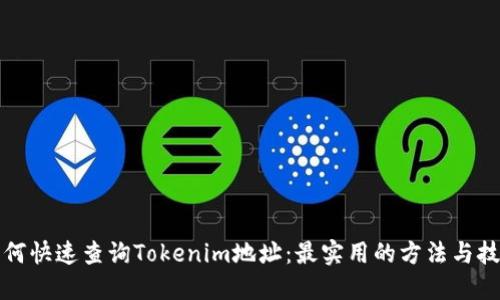 如何快速查询Tokenim地址：最实用的方法与技巧