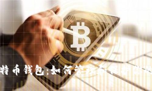 最大的比特币钱包：如何管理和保护你的数字资产