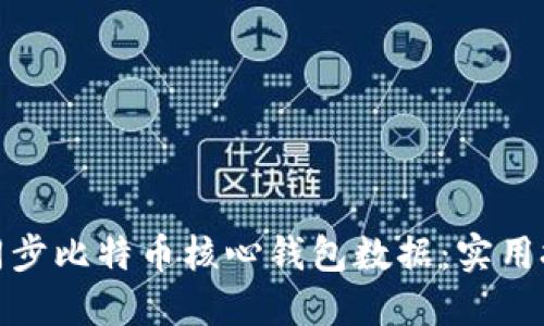 如何高效同步比特币核心钱包数据：实用技巧与策略