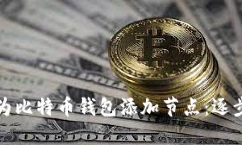 如何为比特币钱包添加节点：逐步指南