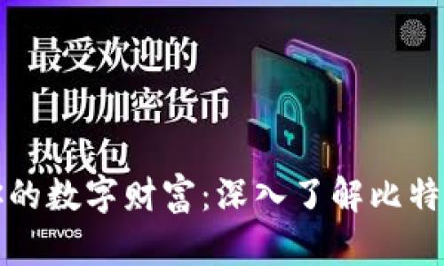 轻松管理你的数字财富：深入了解比特币电子钱包