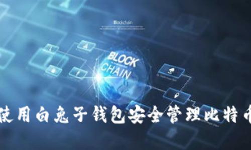 如何使用白兔子钱包安全管理比特币资产