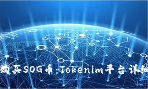 如何购买SOG币：Tokenim平台详细指南