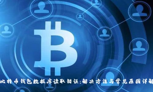 比特币钱包数据库读取错误：解决方法与常见原因详解