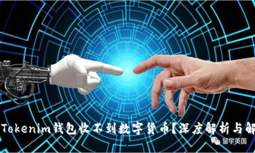为什么Tokenim钱包收不到数字货币？深度解析与解决方案