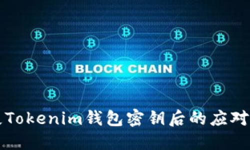 丢失Tokenim钱包密钥后的应对指南