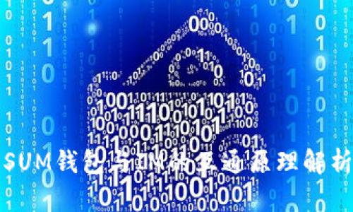 SUM钱包与IM的互通原理解析