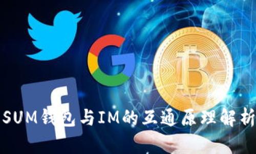 SUM钱包与IM的互通原理解析