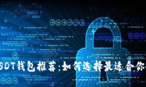 示例

便捷安全的第三方USDT钱包推荐：如何选择最适合你的数字货币存储方案