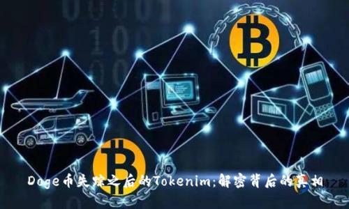 Doge币失踪之后的Tokenim：解密背后的真相