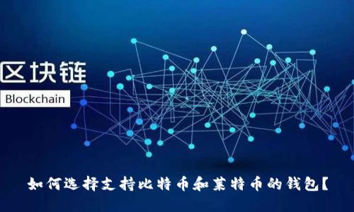 如何选择支持比特币和莱特币的钱包？