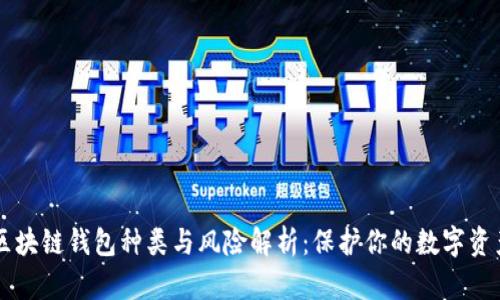 区块链钱包种类与风险解析：保护你的数字资产