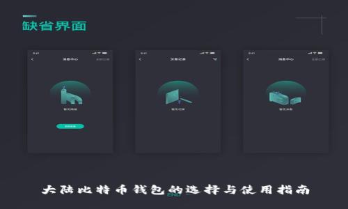 大陆比特币钱包的选择与使用指南