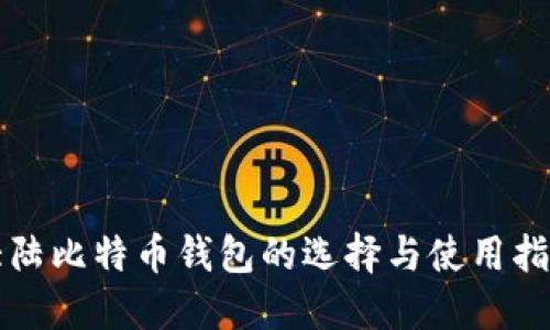 大陆比特币钱包的选择与使用指南
