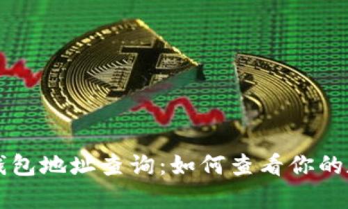 区块链钱包地址查询：如何查看你的数字财富