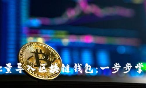 如何批量导入区块链钱包：一步步掌握技巧