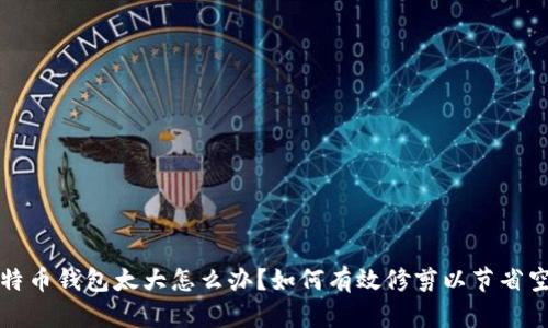 比特币钱包太大怎么办？如何有效修剪以节省空间