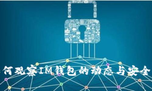 如何观察IM钱包的动态与安全性