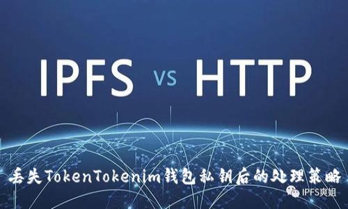 丢失TokenTokenim钱包私钥后的处理策略