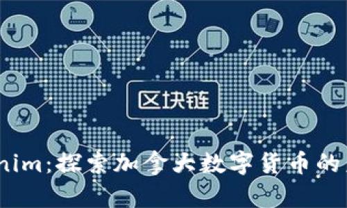 bfiaoTokenim：探索加拿大数字货币的未来与机遇