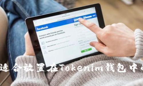 如何选择适合放置在Tokenim钱包中的数字币？