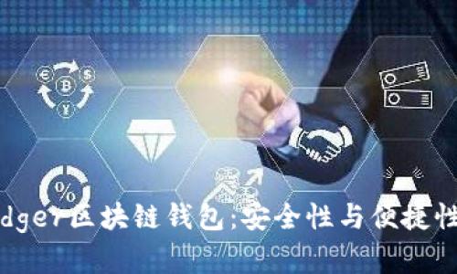 深入解析Ledger区块链钱包：安全性与便捷性的完美结合