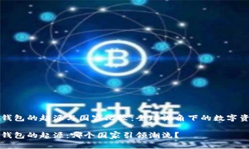 区块链钱包的起源与国家比较：全球视角下的数字资产管理

区块链钱包的起源：哪个国家引领潮流？
