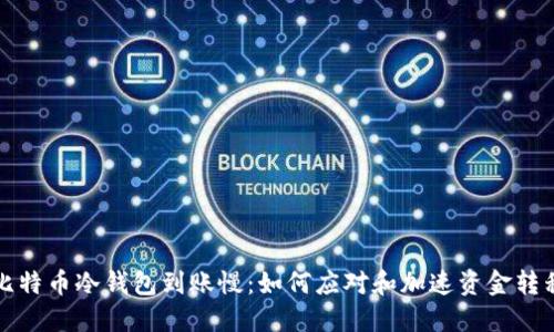 比特币冷钱包到账慢：如何应对和加速资金转移