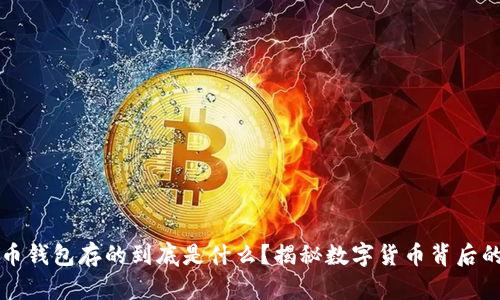 比特币钱包存的到底是什么？揭秘数字货币背后的秘密