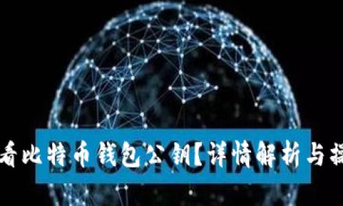 如何查看比特币钱包公钥？详情解析与操作指南