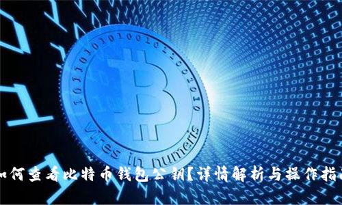 如何查看比特币钱包公钥？详情解析与操作指南