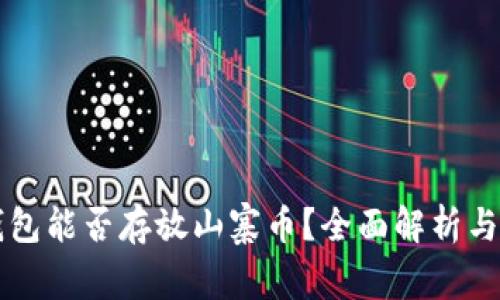 比特币钱包能否存放山寨币？全面解析与实用指南