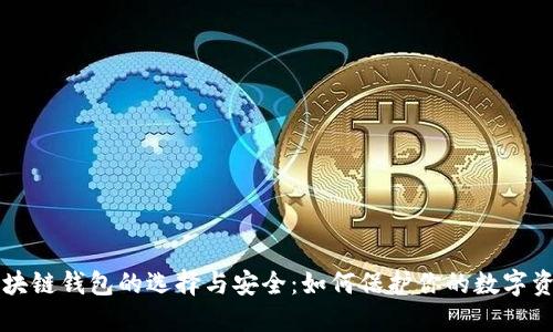 区块链钱包的选择与安全：如何保护你的数字资产
