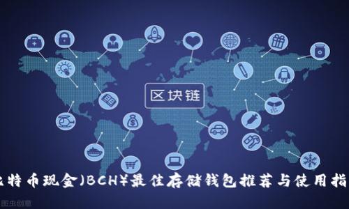 比特币现金（BCH）最佳存储钱包推荐与使用指南