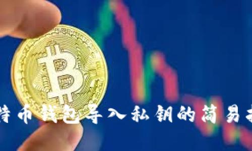 比特币钱包导入私钥的简易指南