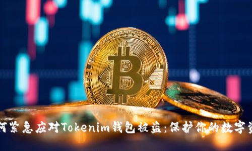 如何紧急应对Tokenim钱包被盗：保护你的数字资产
