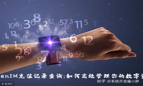TokenIM充值记录查询：如何高效管理你的数字资产