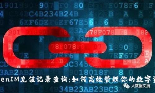 TokenIM充值记录查询：如何高效管理你的数字资产