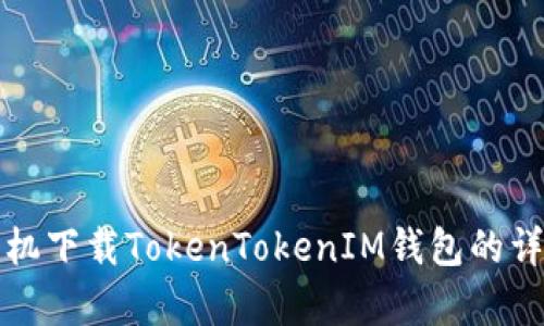 安卓手机下载TokenTokenIM钱包的详细指南