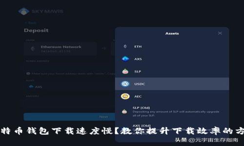  比特币钱包下载速度慢？教你提升下载效率的方法！