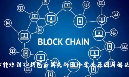 USDT转账到TP钱包后消失的五个常见原因与解决办法