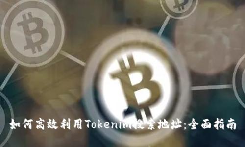 如何高效利用Tokenim搜索地址：全面指南